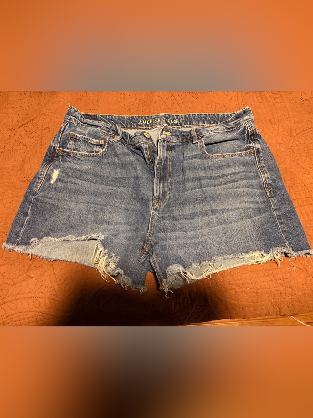 American Eagle Outfitters Distressed Light Blue Denim Cutoff Shorts